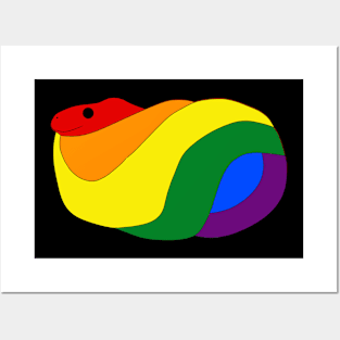 Rainbow Snake Posters and Art